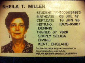 Sheila's Diving Licence