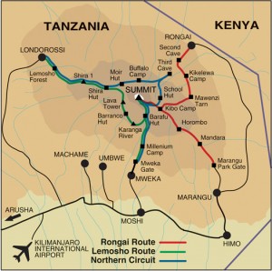 Route map showing just a few of the official routes including ours