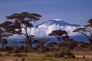 Kilimanjaro