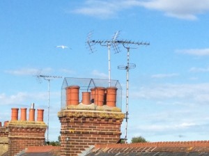 The seagull-proof cage erected over a neighbour's chimney pots