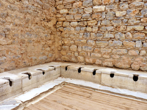 Roman Latrines (at Ephesus)